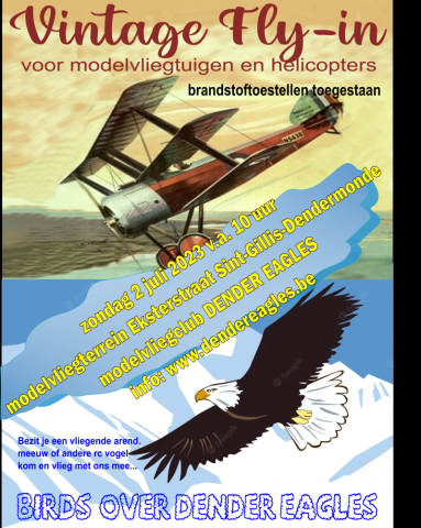 Vintage fly-in / Birds over Dender Eagles